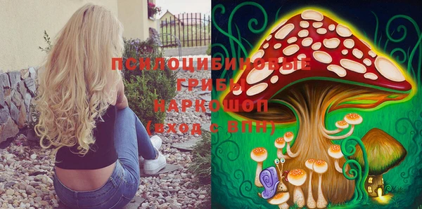 каннабис Ельня
