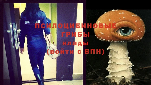 гашик Елизово