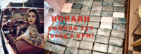 гашик Елизово